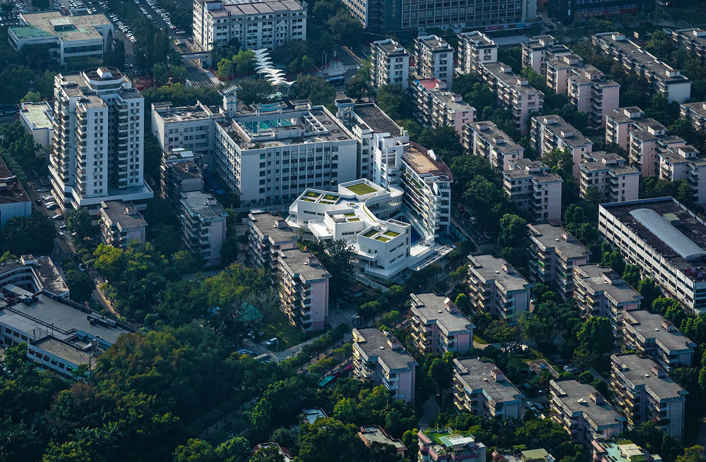 深圳市第二幼儿园 | 光影流动的艺术花园