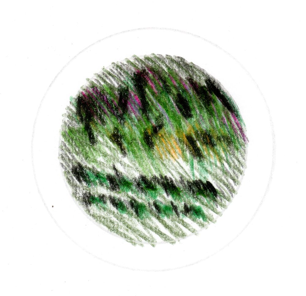 绿意盎然，历史与现代共融的 Baratti rotatoria 设计