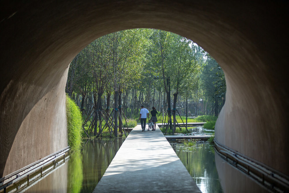 周口淮阳伏羲文化公园，河南 / 土人设计