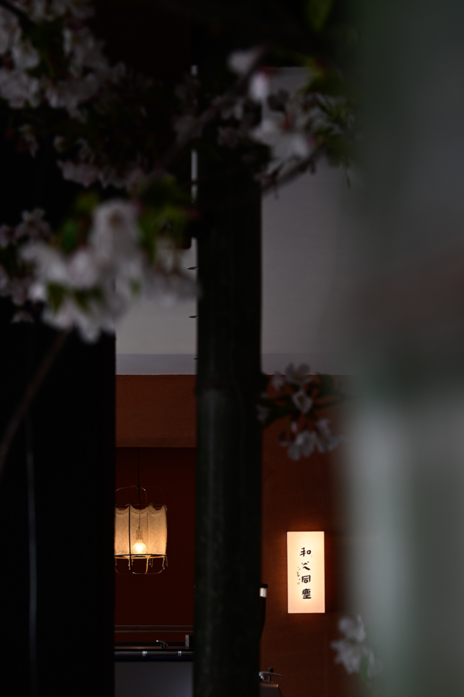 觅隐江南 | 人文雅集禅茶空间的诗画美学