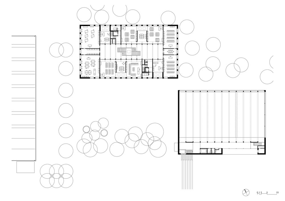 Weissenstein New School Building |  双层体育场馆设计亮点
