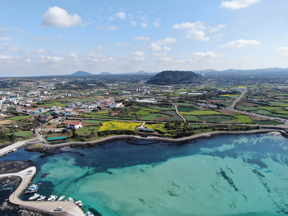 盖亚住宅 | 融入济州岛自然环境的单层住宅