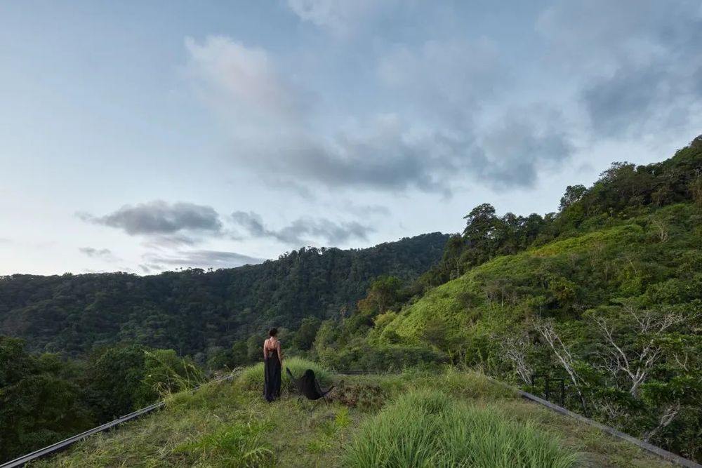 哥斯达黎加山林中的艺术别墅，野性与奢华的完美融合