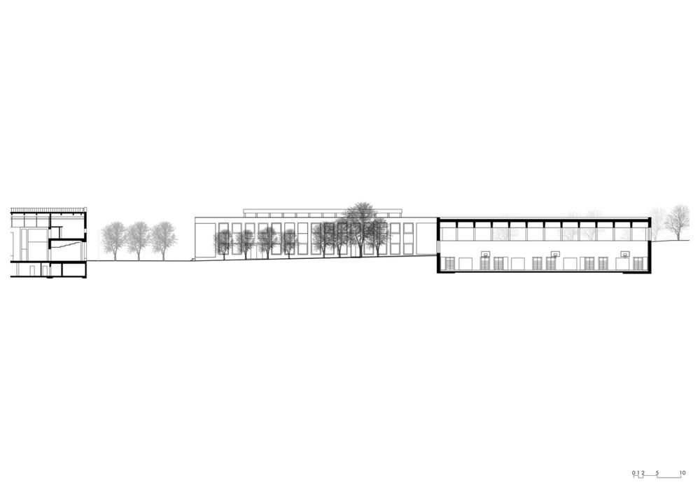 Weissenstein New School Building |  双层体育场馆设计亮点