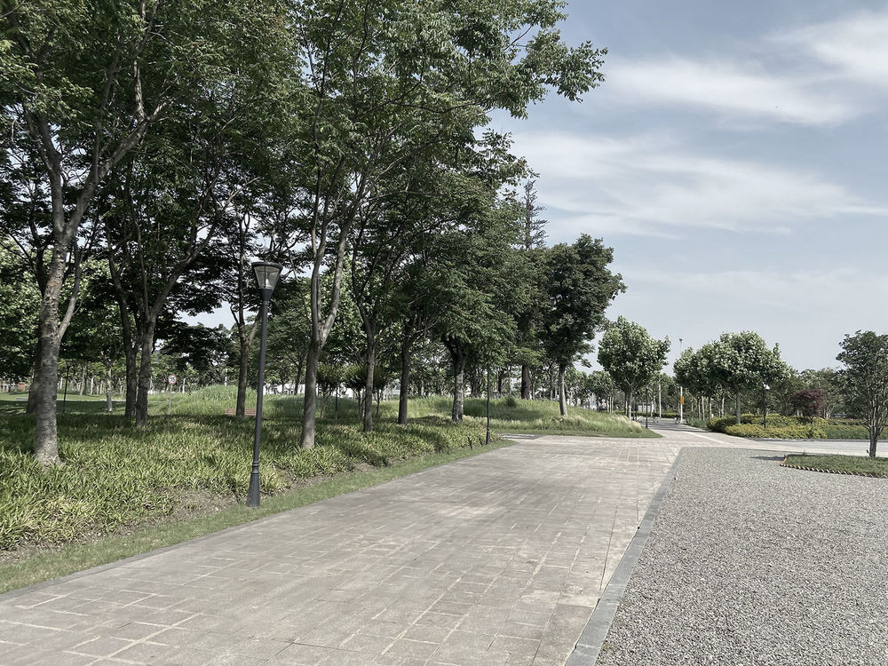 前滩休闲公园 | 自然与城市的生态纽带