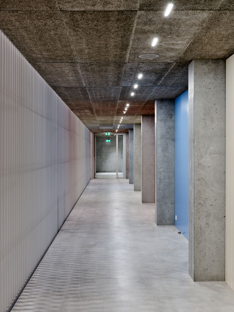 Weissenstein New School Building |  双层体育场馆设计亮点