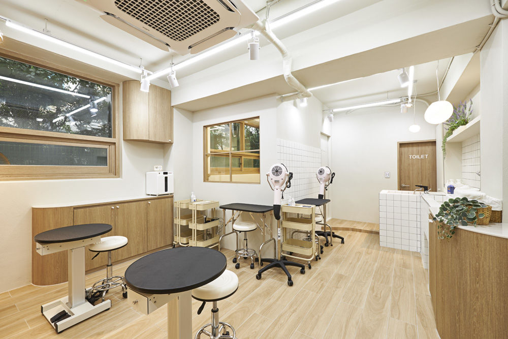 温馨宠物美容店，打造治愈空间