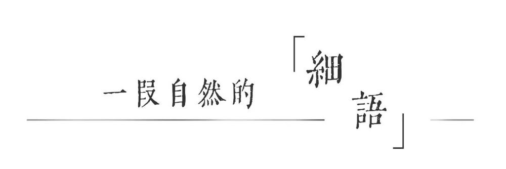 青岛海信·君玺 | 山水诗意的自然画卷