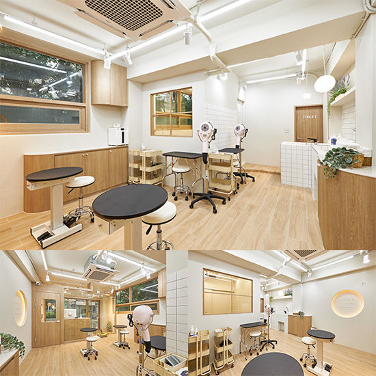 温馨宠物美容店，打造治愈空间
