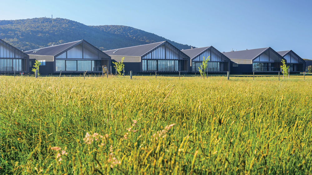 Braemar College Middle School | 农村校园的绿色教育设计