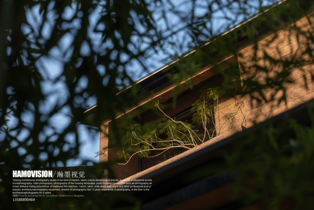 南京龙吟山房 | 新自然主义餐饮空间