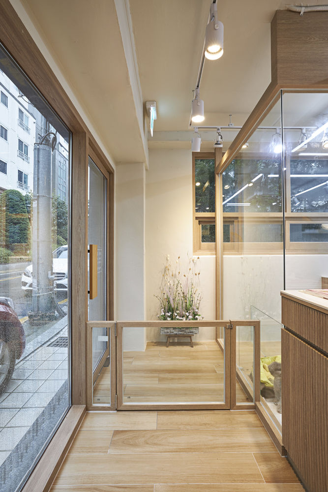 温馨宠物美容店，打造治愈空间