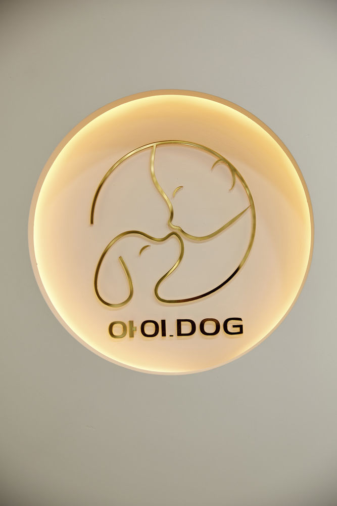 简约设计打造 9 平米爱犬美容空间