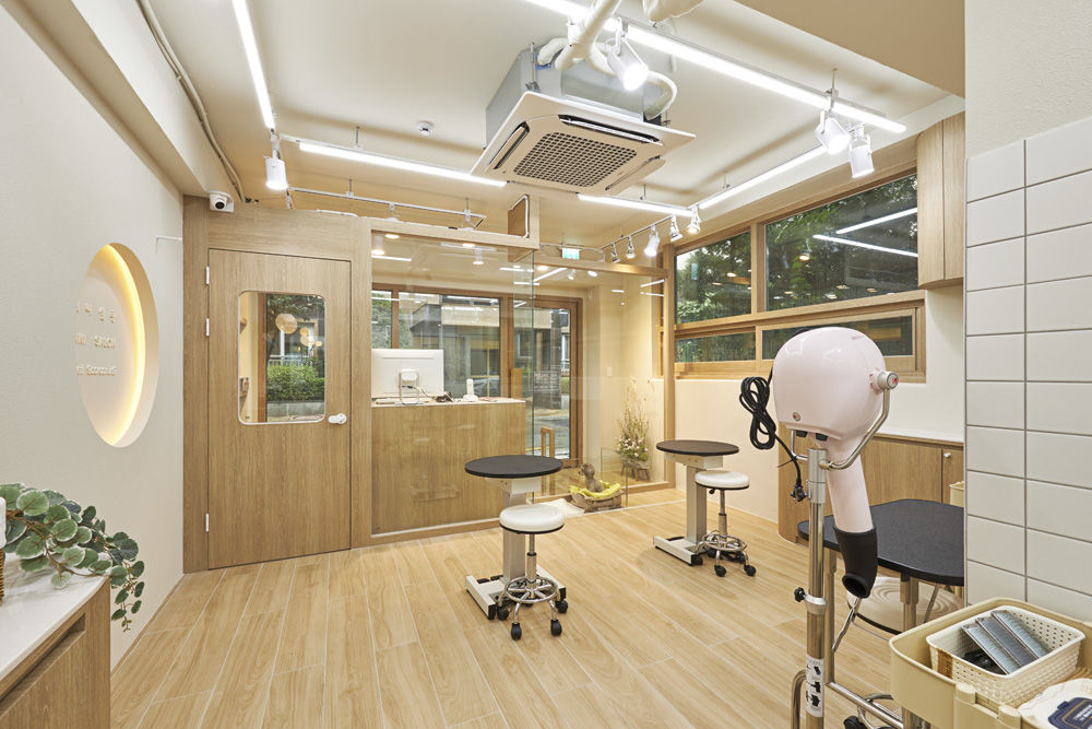 温馨宠物美容店，打造治愈空间