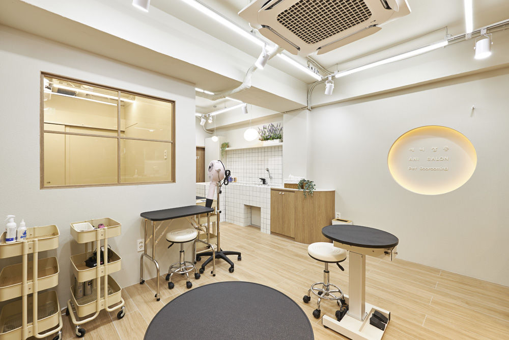 温馨宠物美容店，打造治愈空间