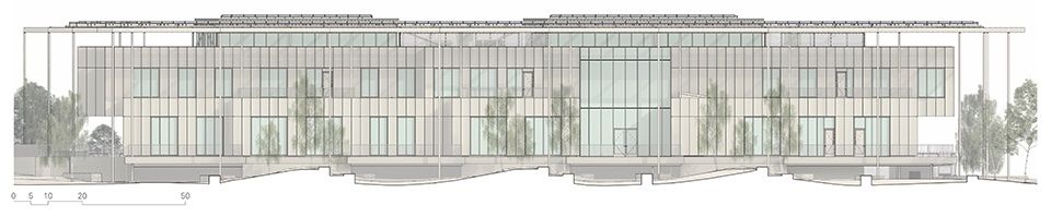 休斯顿 Endowment 总部 | 可持续、无障碍的设计典范