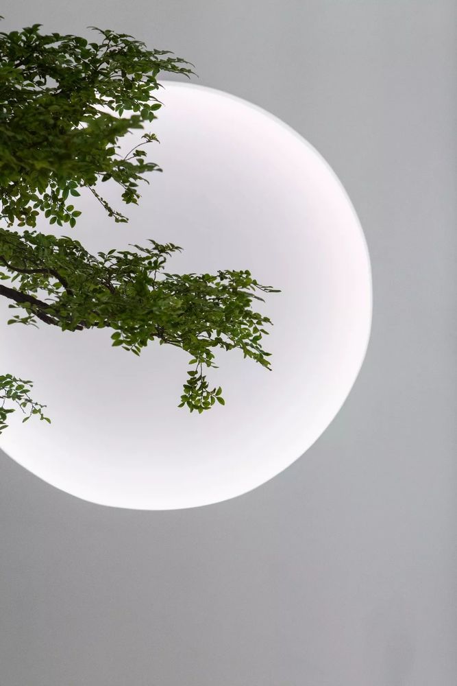 广东 LED 灯光体验中心 | 林卫平诠释现代侘寂空间