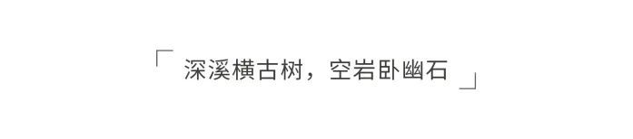 青岛海信·君玺 | 山水诗意的自然画卷