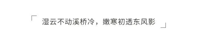 青岛海信·君玺 | 山水诗意的自然画卷