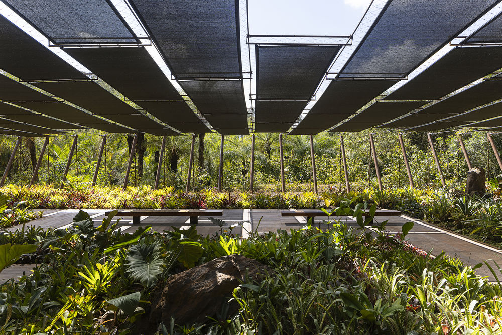 巴西Inhotim艺术公园草间弥生画廊 | MACh Arquitetos + Rizoma Arquitetura