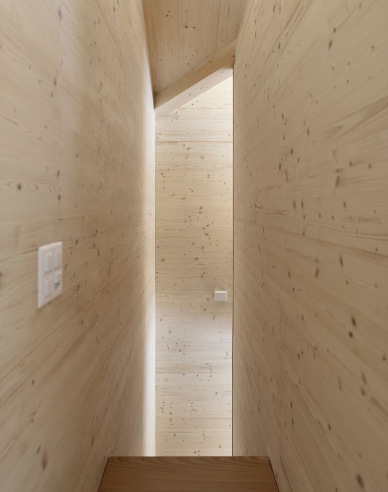瑞士 Calanca 山谷的 SWISSHOUSE XXXV 别墅