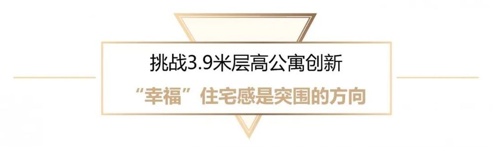 3.9 米层高下的“家”梦想