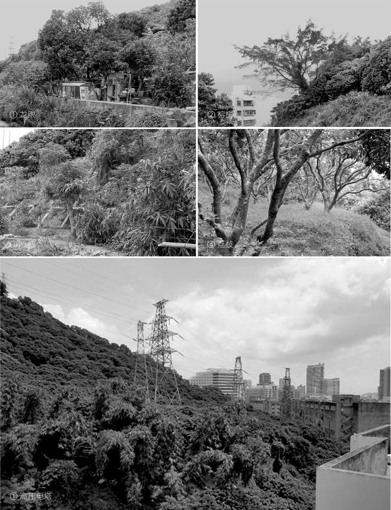沙头角公园，深圳 / 翰博设计
