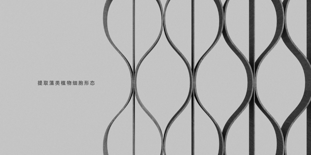 概念设计 DNA链
