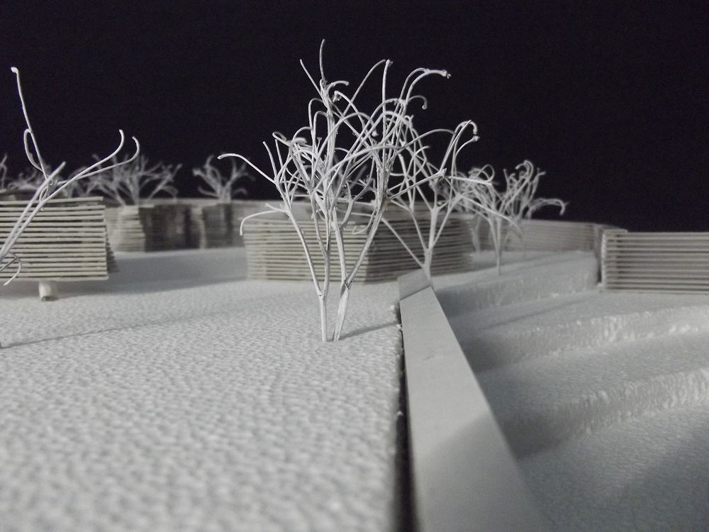 2015 年完成的年度项目 | 公园、公共花园、模块化住宅与展览装置