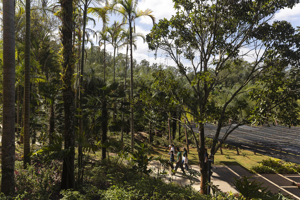 巴西Inhotim艺术公园草间弥生画廊 | MACh Arquitetos + Rizoma Arquitetura