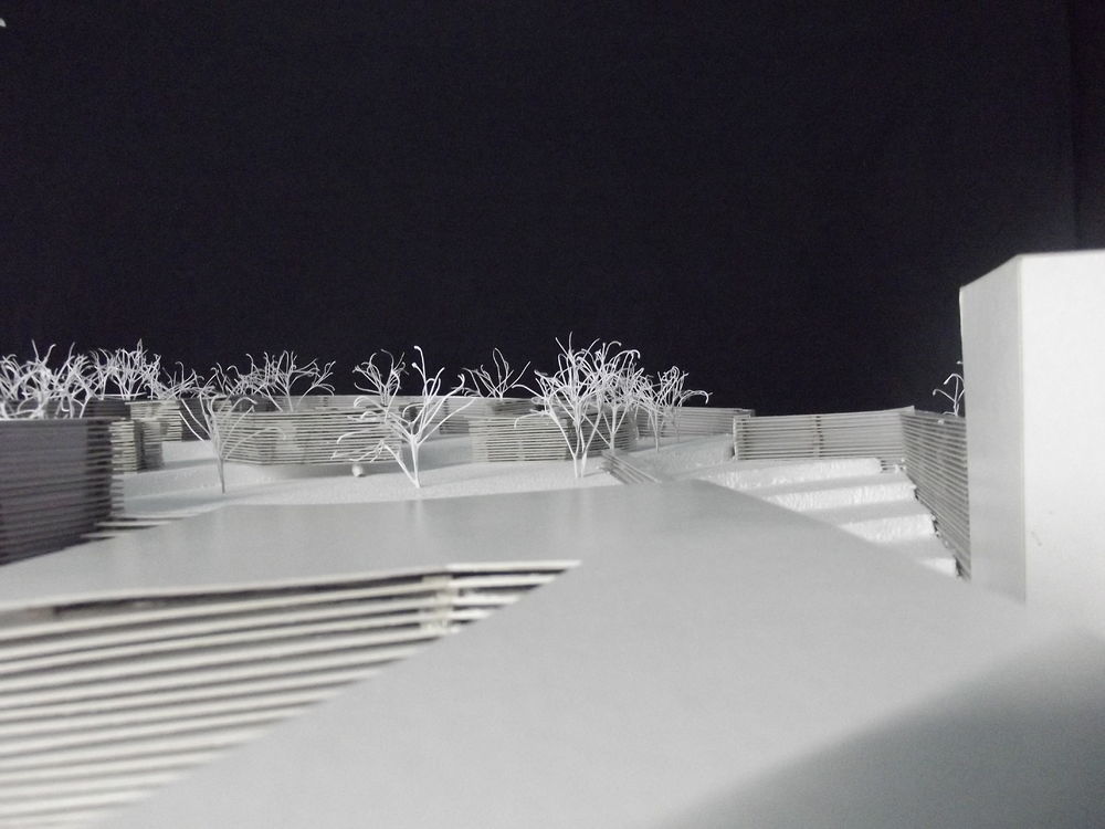 2015 年完成的年度项目 | 公园、公共花园、模块化住宅与展览装置