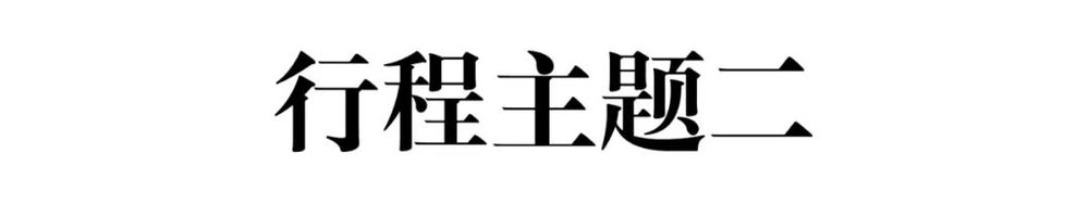 南京新晶丽酒店 | 艺术与奢华的沉浸式体验