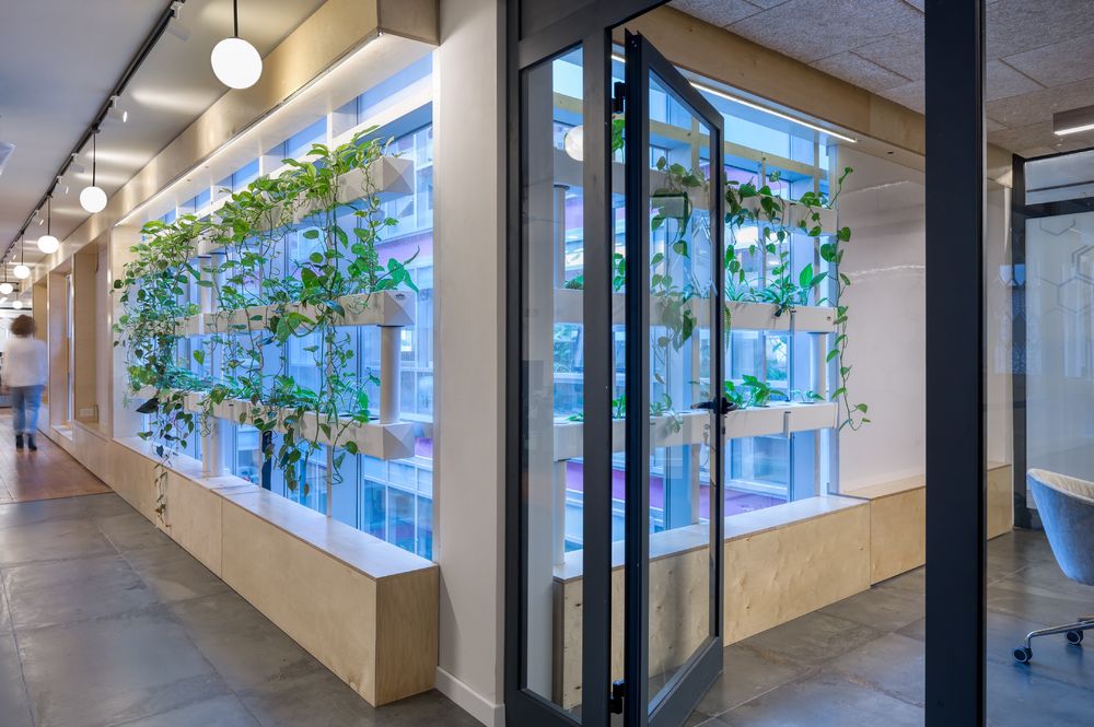 K-Healthoffice | 自然元素融入现代医疗办公空间