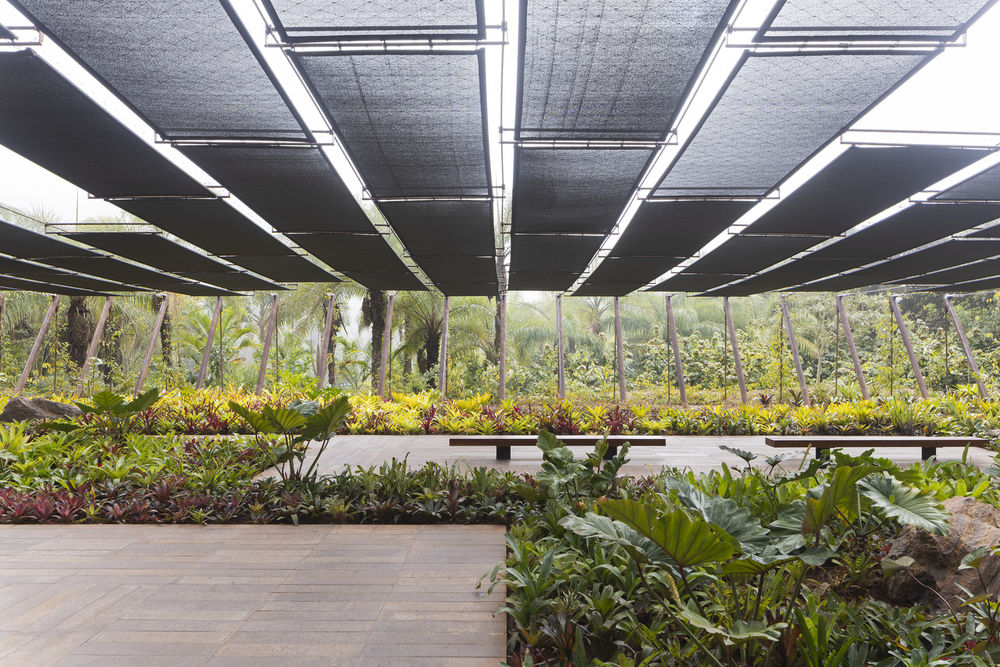 巴西Inhotim艺术公园草间弥生画廊 | MACh Arquitetos + Rizoma Arquitetura