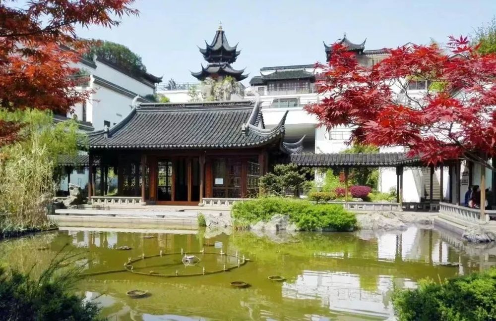 南京新晶丽酒店 | 艺术与奢华的沉浸式体验