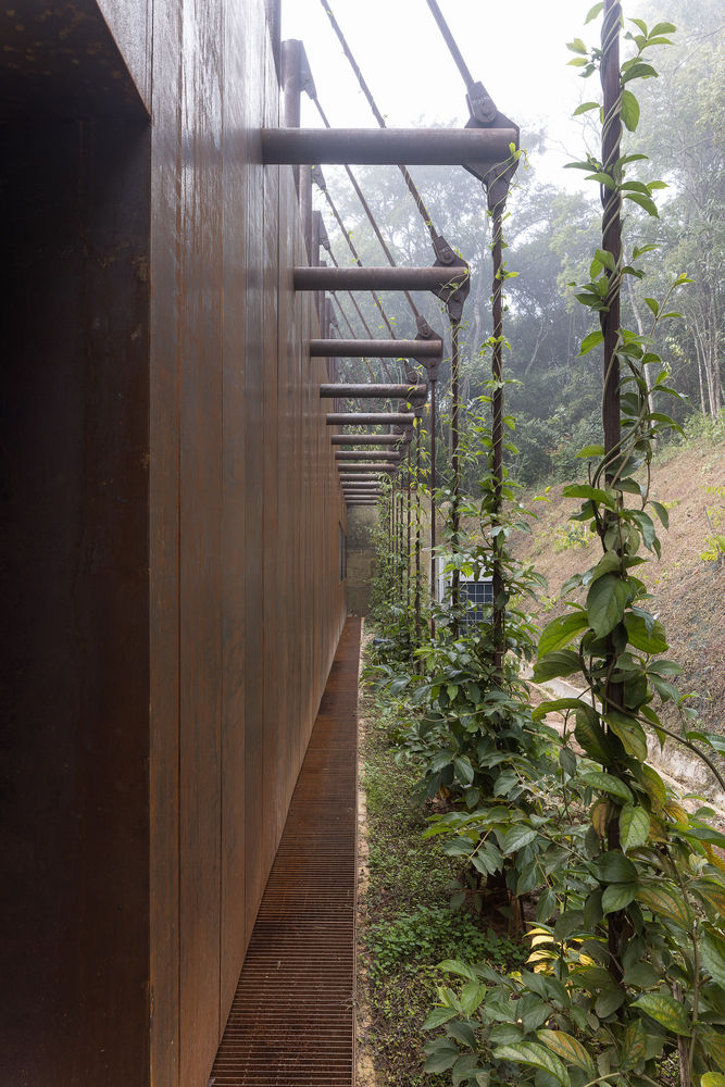 巴西Inhotim艺术公园草间弥生画廊 | MACh Arquitetos + Rizoma Arquitetura