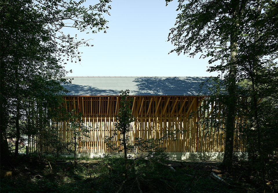 林地木料棚 瑞士 Clou Architekten 设计