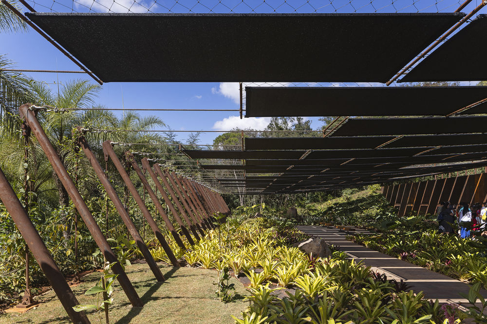 巴西Inhotim艺术公园草间弥生画廊 | MACh Arquitetos + Rizoma Arquitetura