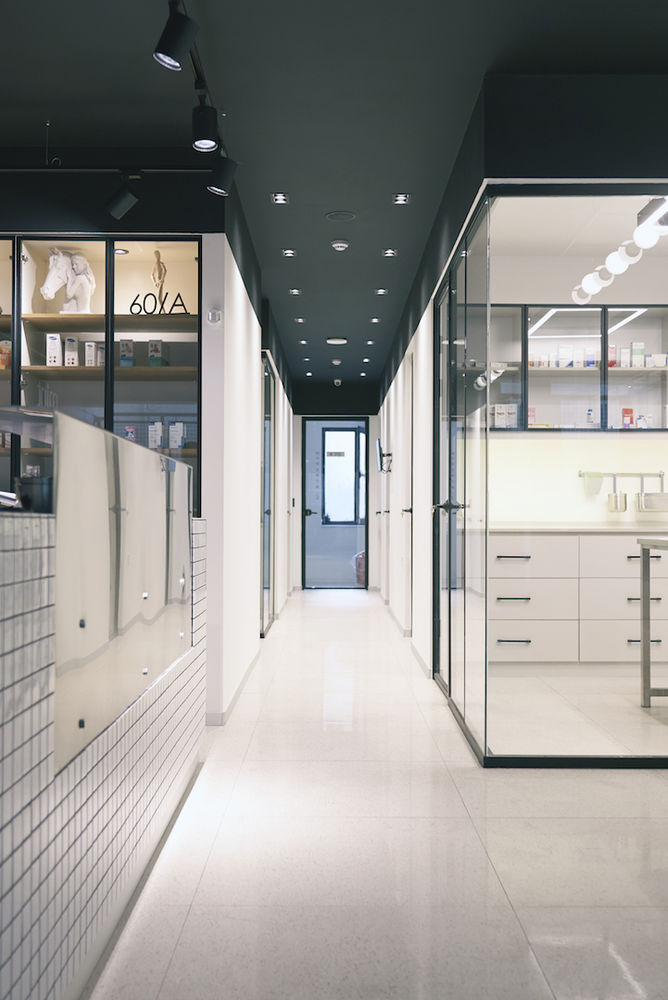打破传统印象的 Mint Veterinary Clinic