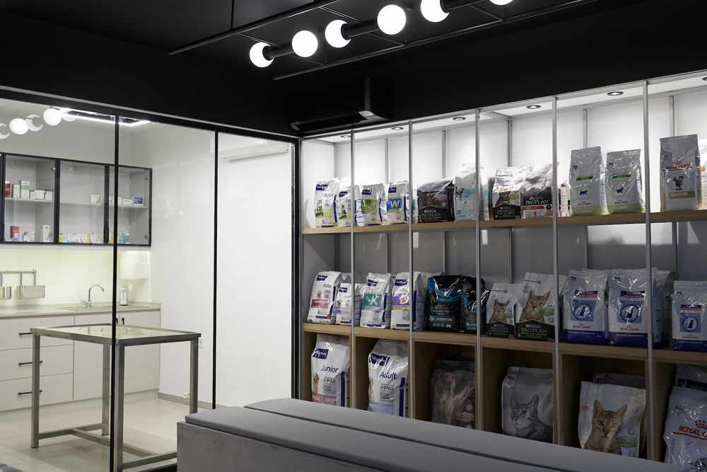 打破传统印象的 Mint Veterinary Clinic