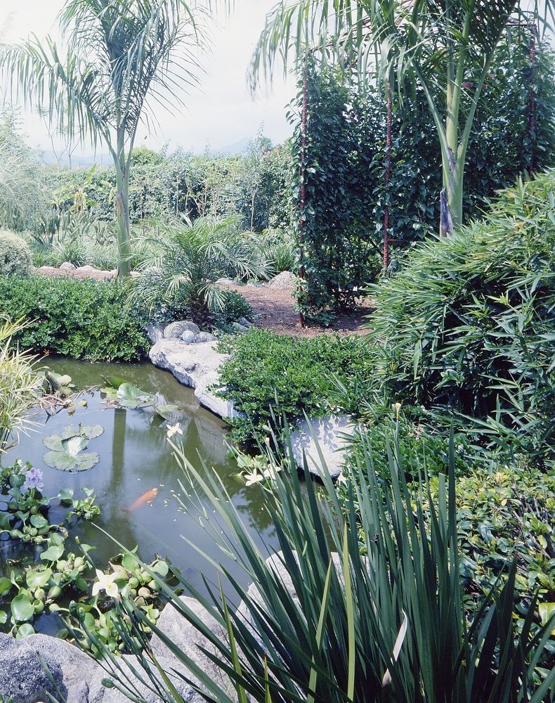 1992 年完工的墨西哥 Yautepec 单家庭住宅