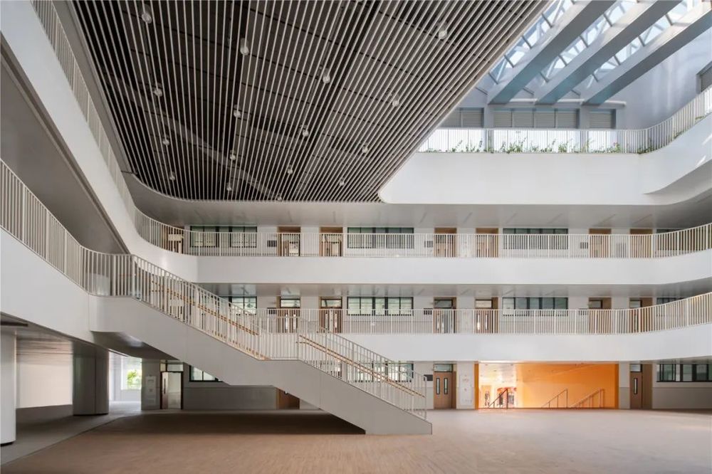 微型校园设计 | 南方科技大学教育集团长源小学