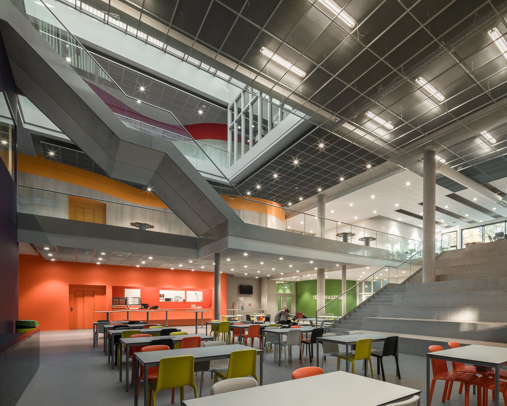 Mark Hadden丨大学丨Zernike College