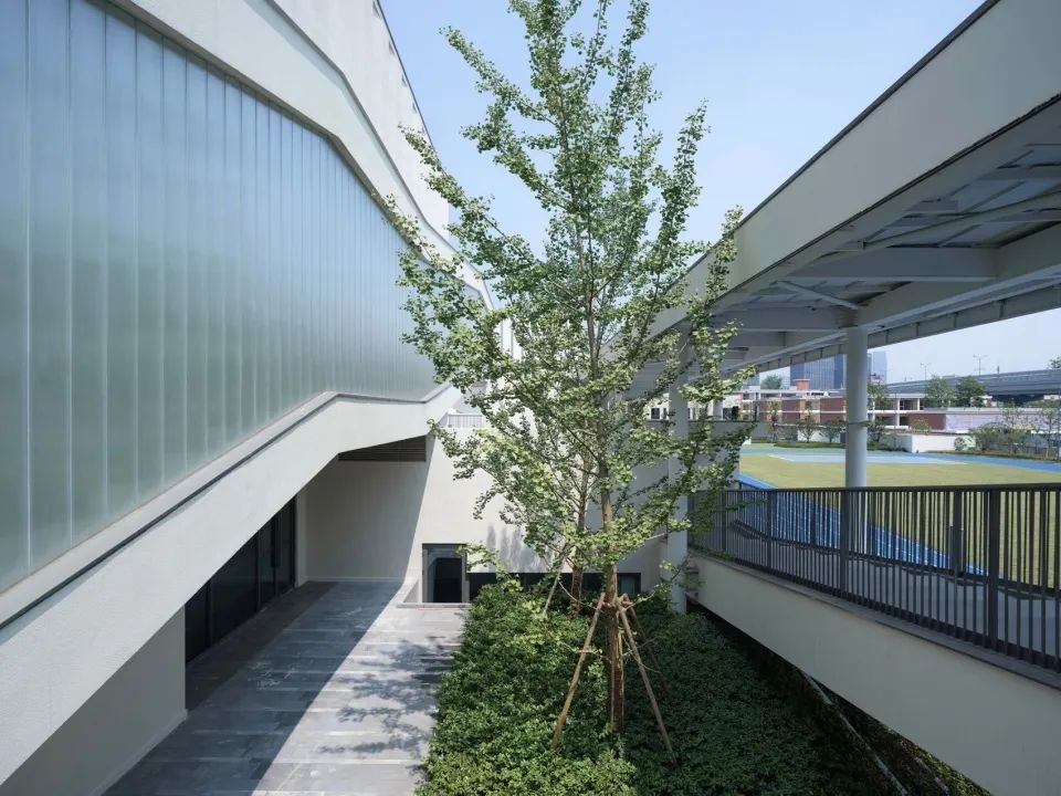 在传承中成长 | 杭州大关小学祥符校区 | goa大象设计