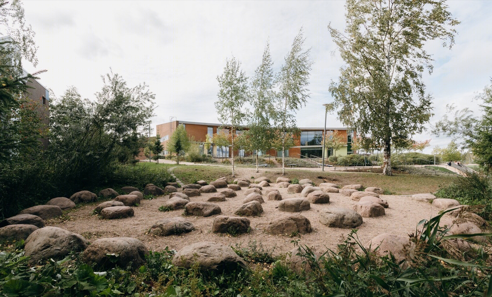 芬兰 Kirkkojärvi 学校 | 融入自然的校园设计