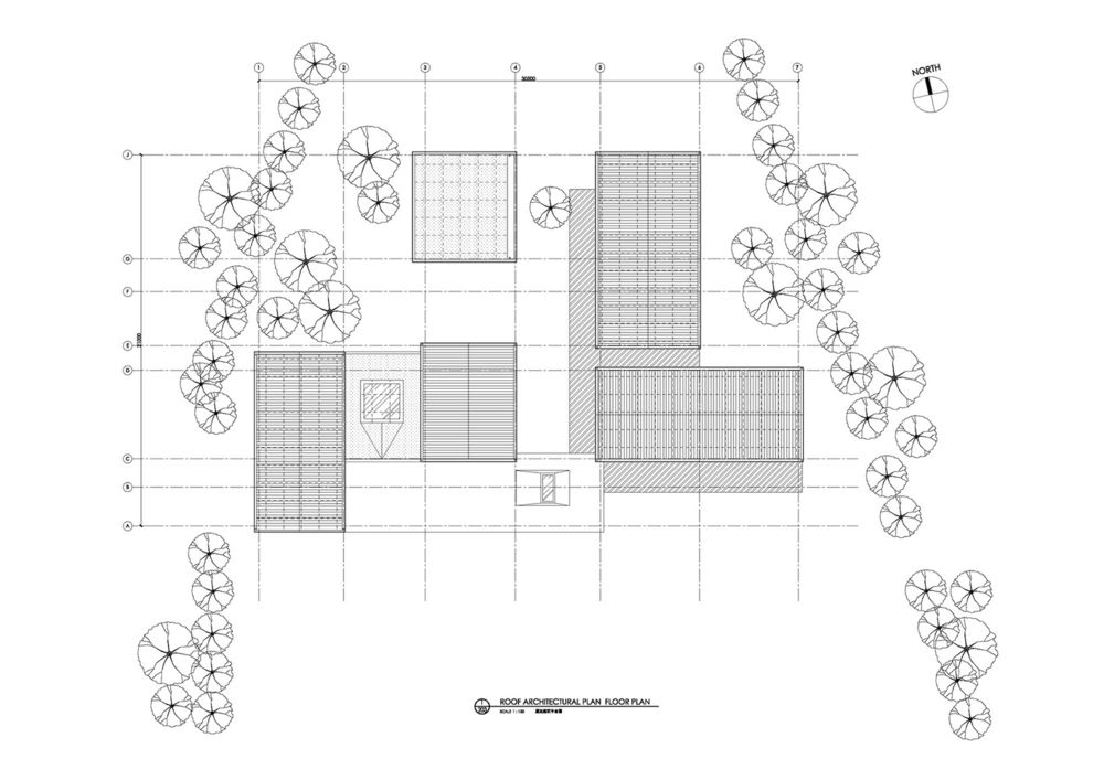 下沉菜地中的未来社区中心丨y.ad工作室重塑乡村社区