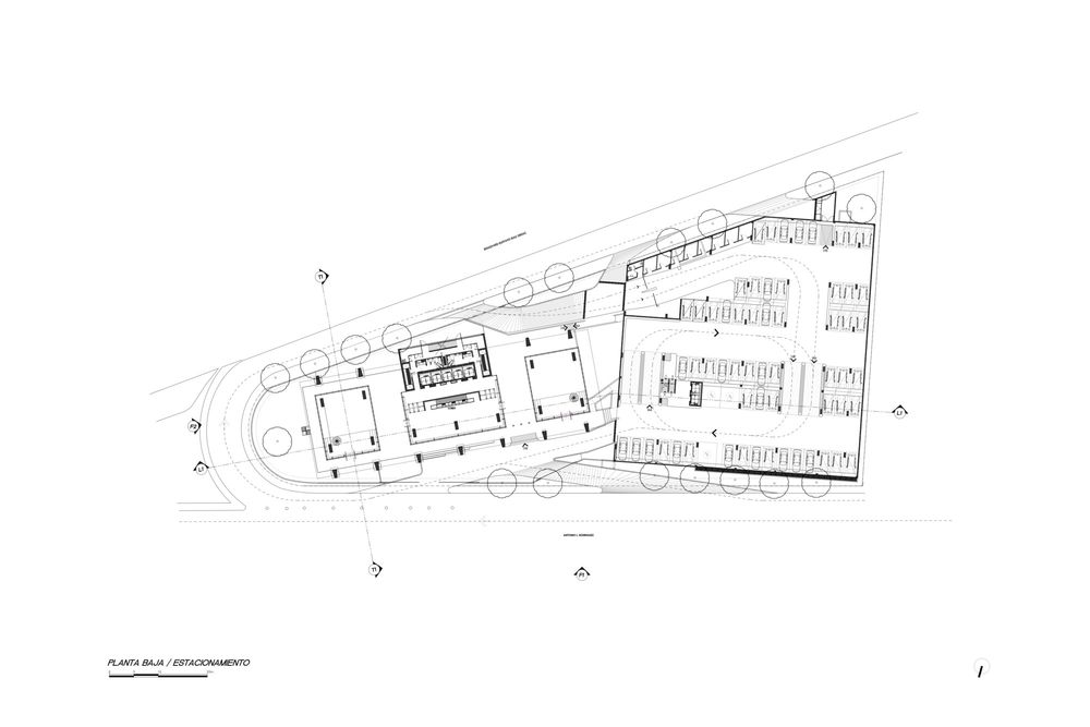 墨西哥 Monterrey Albia 办公大楼——现代简约风格与高效空间的完美结合
