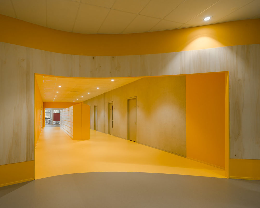 Mark Hadden丨大学丨Zernike College
