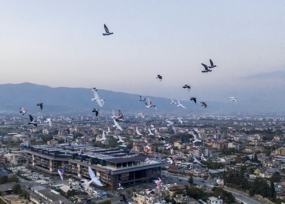 The Museum Hotel Antakya | 融合考古与奢华的创新设计