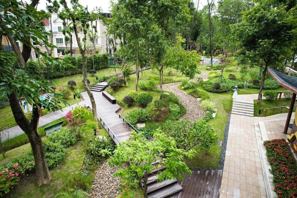 GZLI出品 | 共建城市森林大道 | 白云新城道路绿化焕新颜